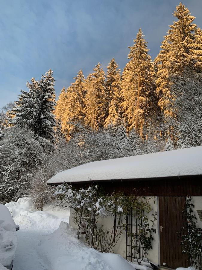 Ferienhaus Rotzinger Hinterzarten Exterior photo